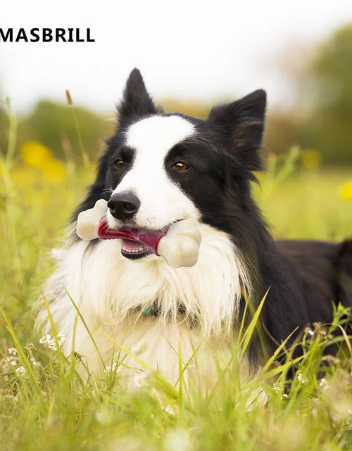 Load image into Gallery viewer, Large Dog Toys for Aggressive Chewers, Dog Toys for Large Dogs, Tough Dog Bone Chew Toys for Medium/ Large Dogs, Toothbrush Dog Toys for Aggressive Chewers Large Breed
