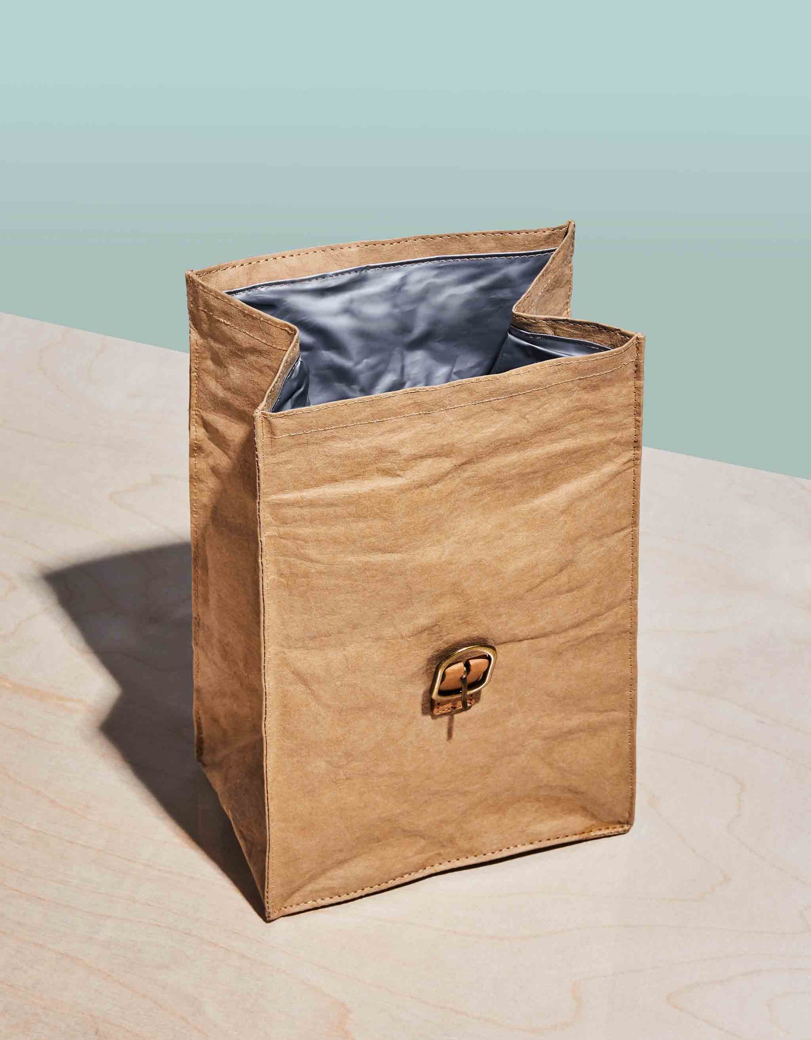 Paper Bag Lunch Cooler