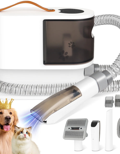 Load image into Gallery viewer, 2L Dog Grooming Kit Pet Grooming Vacuum Dog Clippers 13000Pa Dog Brush 4 in 1 Low Noise Pet Supplies for Shedding Dog Cat Hair Removal Tool Home Cleaning
