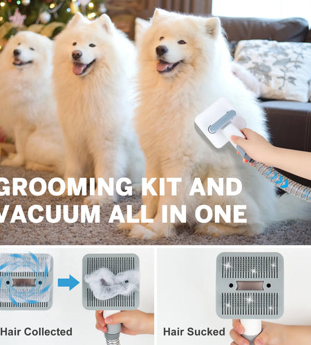 2L Dog Grooming Kit Pet Grooming Vacuum Dog Clippers 13000Pa Dog Brush 4 in 1 Low Noise Pet Supplies for Shedding Dog Cat Hair Removal Tool Home Cleaning