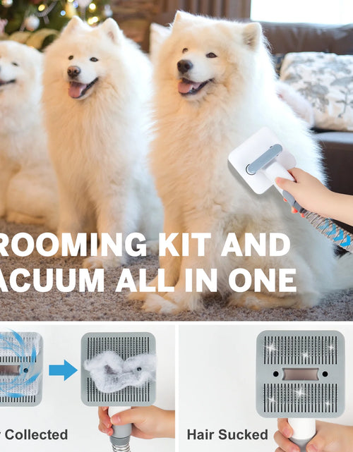 Load image into Gallery viewer, 2L Dog Grooming Kit Pet Grooming Vacuum Dog Clippers 13000Pa Dog Brush 4 in 1 Low Noise Pet Supplies for Shedding Dog Cat Hair Removal Tool Home Cleaning
