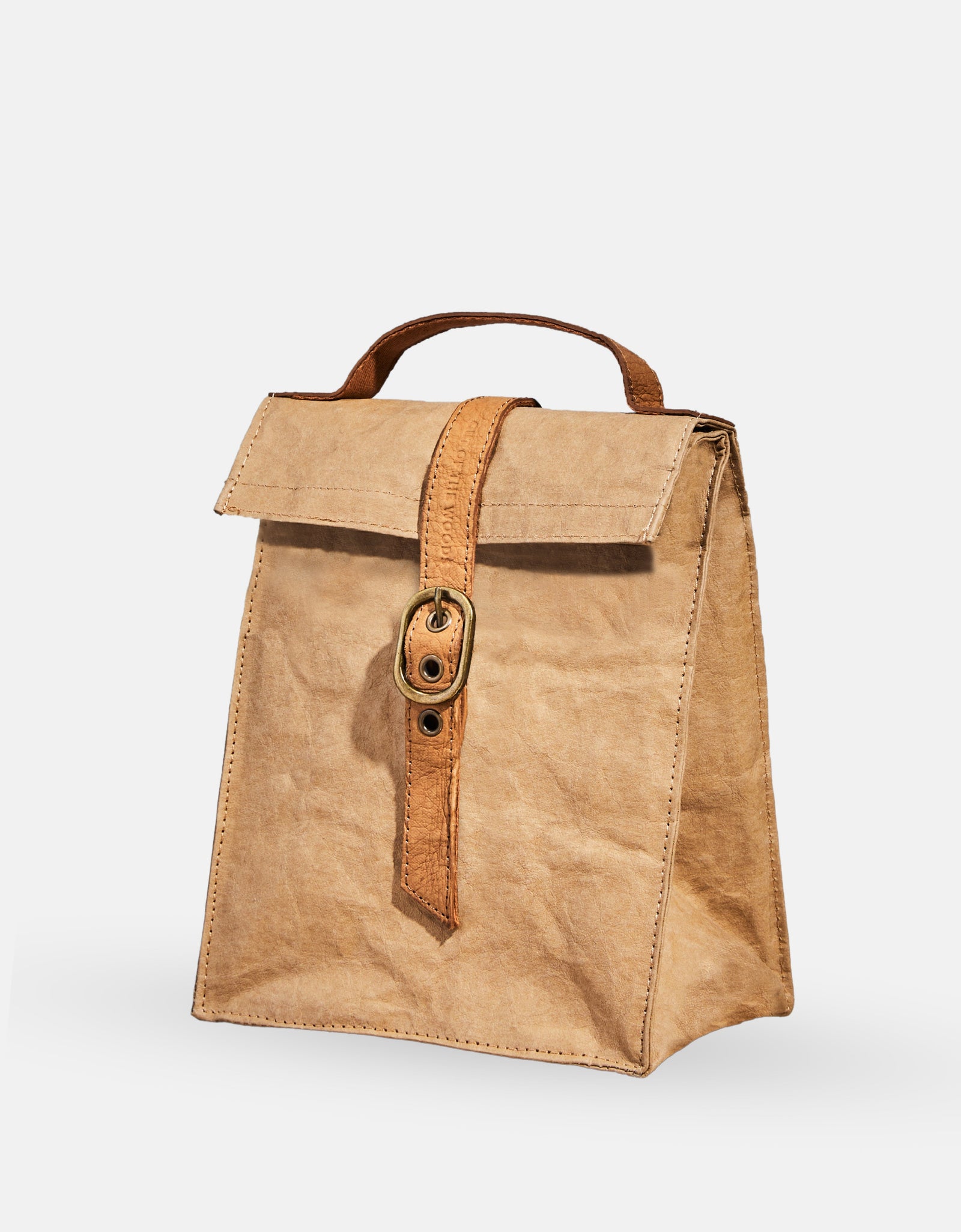 Paper Bag Lunch Cooler