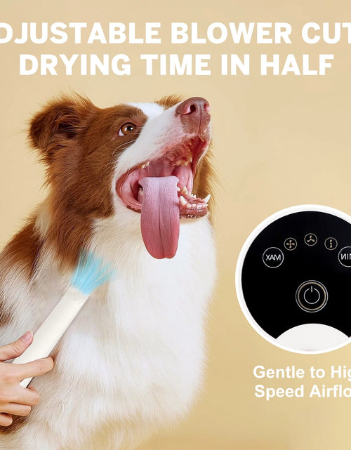Load image into Gallery viewer, 2L Dog Grooming Kit Pet Grooming Vacuum Dog Clippers 13000Pa Dog Brush 4 in 1 Low Noise Pet Supplies for Shedding Dog Cat Hair Removal Tool Home Cleaning
