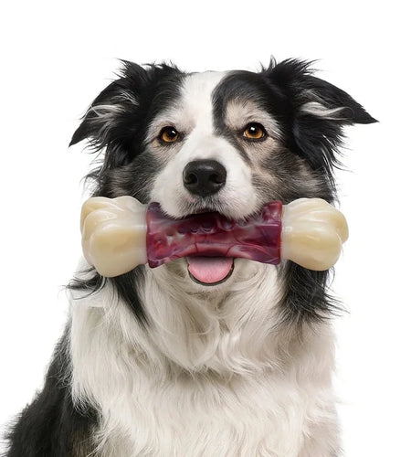 Large Dog Toys for Aggressive Chewers, Dog Toys for Large Dogs, Tough Dog Bone Chew Toys for Medium/ Large Dogs, Toothbrush Dog Toys for Aggressive Chewers Large Breed