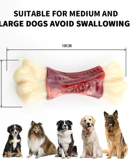 Load image into Gallery viewer, Large Dog Toys for Aggressive Chewers, Dog Toys for Large Dogs, Tough Dog Bone Chew Toys for Medium/ Large Dogs, Toothbrush Dog Toys for Aggressive Chewers Large Breed
